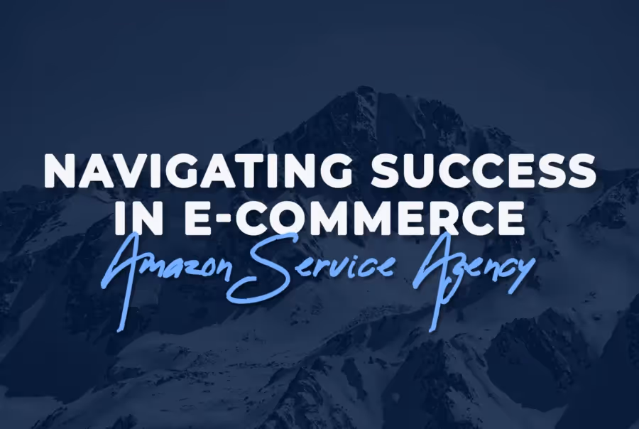 Amazon Service Agency: Success in E-commerce